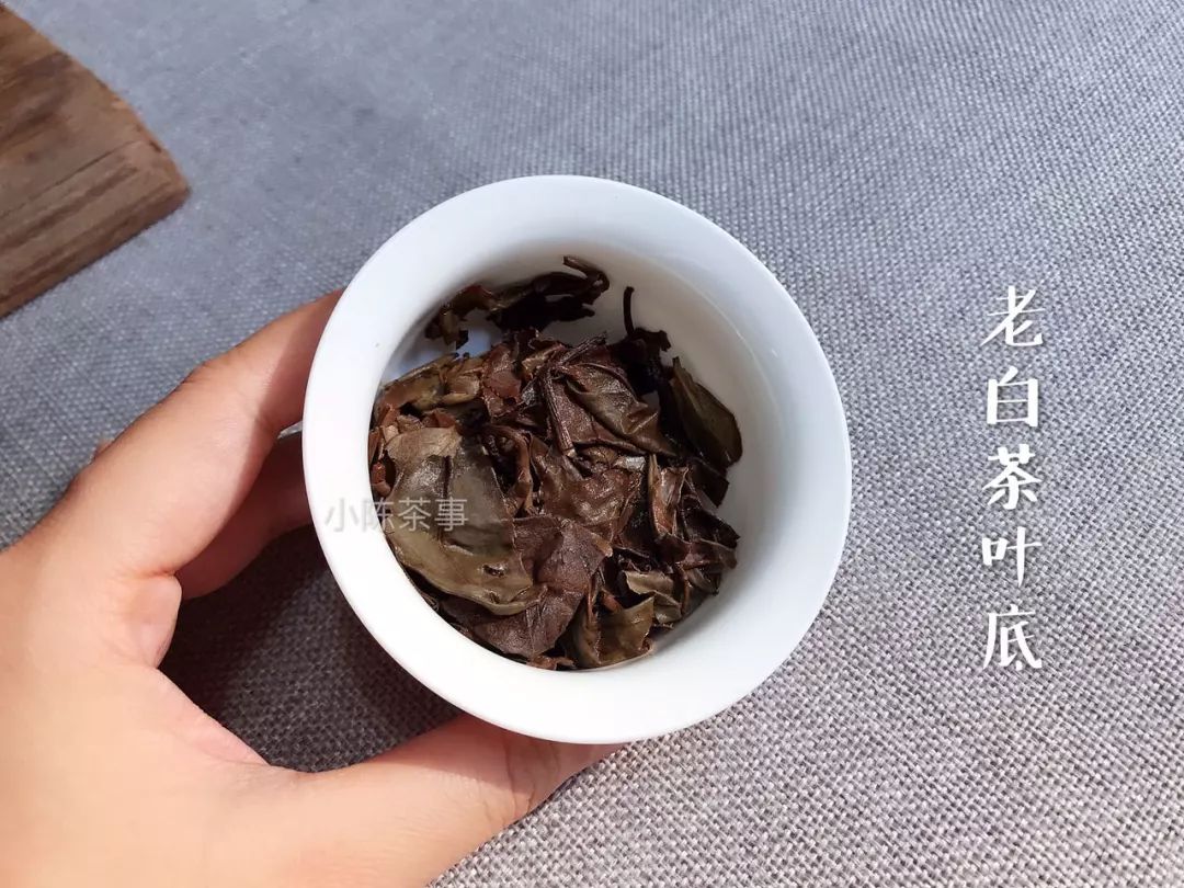 岩茶和普洱茶对比