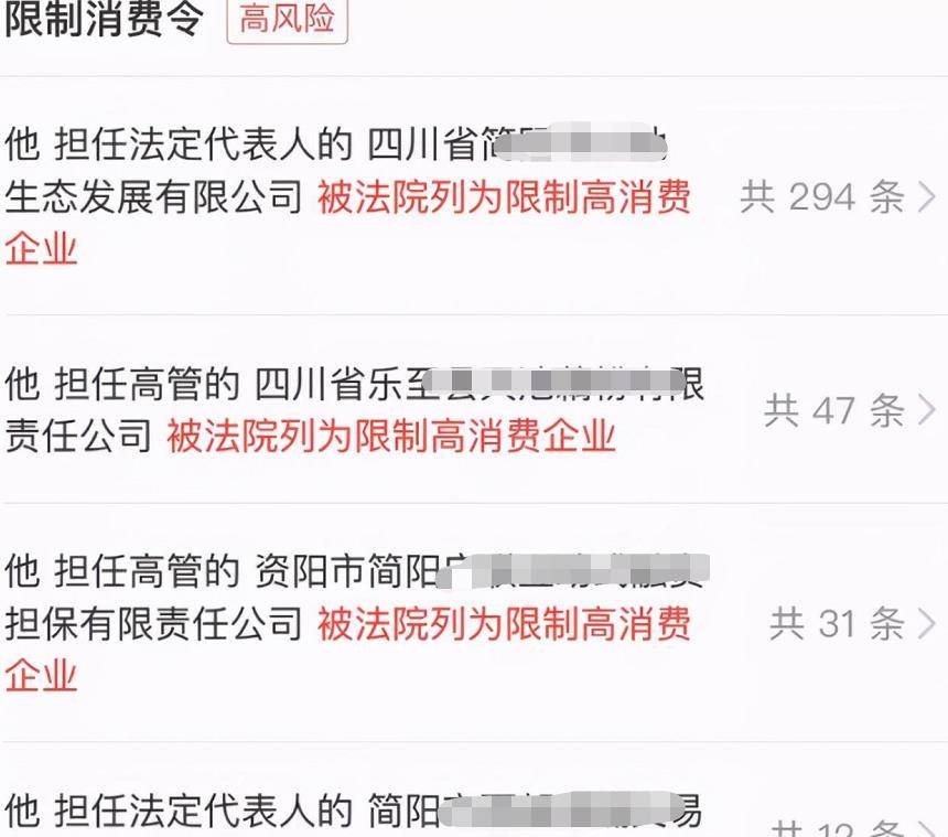 欠款被起诉被执行后会怎样