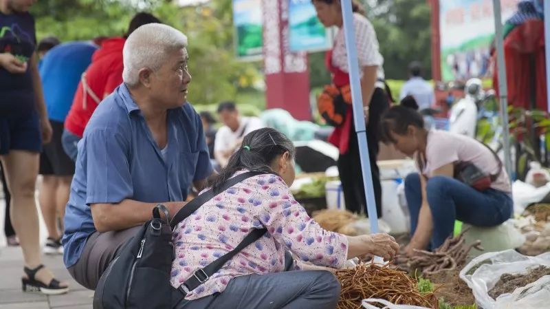 普洱茶的排效应及其对人体的影响研究