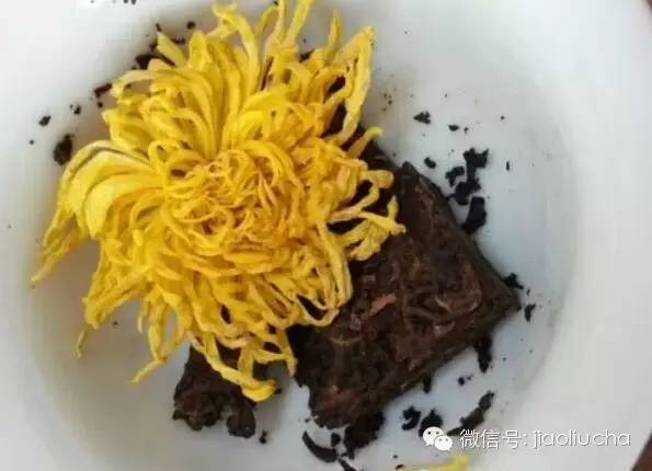 熟普洱茶和菊花泡