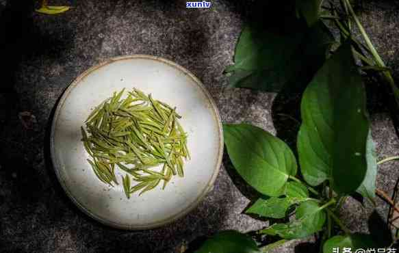 探讨茶叶选择：尖茶与后茶的优劣势比较