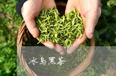 冰岛小黑格子茶