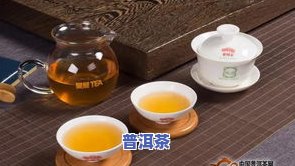 普洱茶制茶大师排名，包括五朵金花和紫藤老人在内的名单。