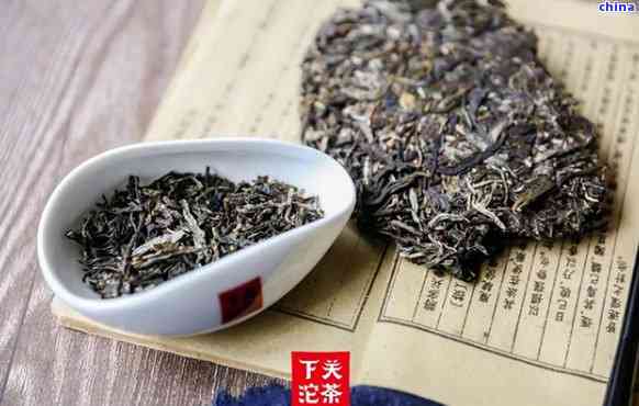 下关普洱茶标杆产品：品质、口感与鉴全方位指南