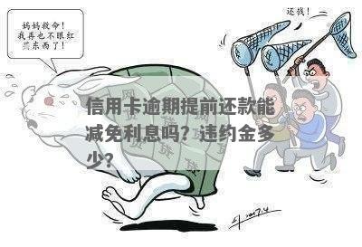 信用卡减免利息违约金该如何还