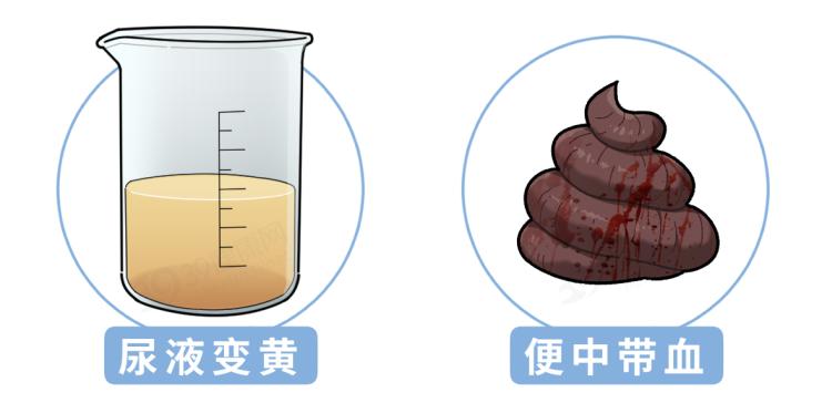 全面解析：如何通过泡茶护肝、排与提升肝脏健？