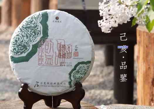 普洱年份与品质：2019年普洱茶品鉴指南