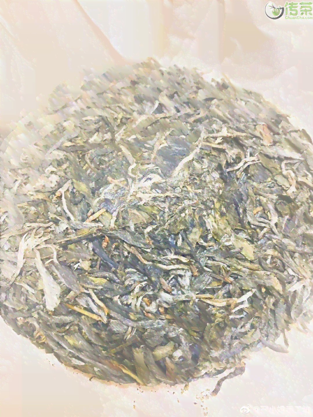 普洱茶年份与品质的关联分析