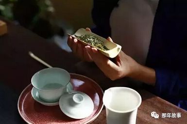 没有发酵过程的茶叶分类