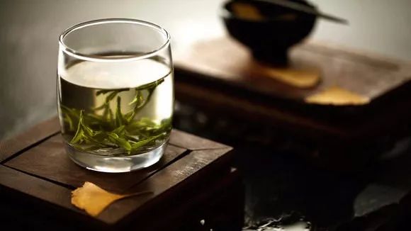 新没发酵的茶是绿茶吗？全面解析未发酵茶类及其特点'