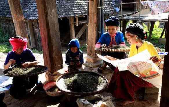 澜沧古茶的传承：探索普洱地区独特的普洱澜沧茶叶文化