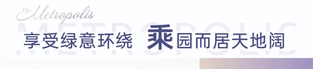 探讨风水命理中海中带金与带玉的优劣分析