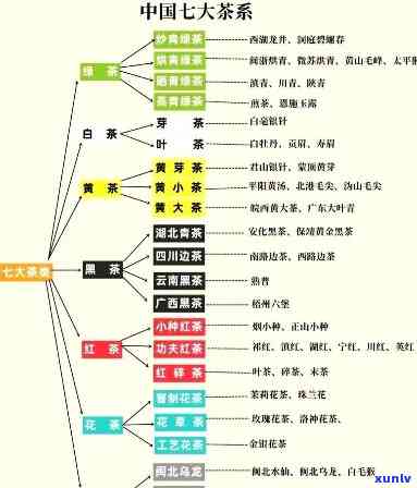 中国茶分类全览：探索六大类茶的独特魅力