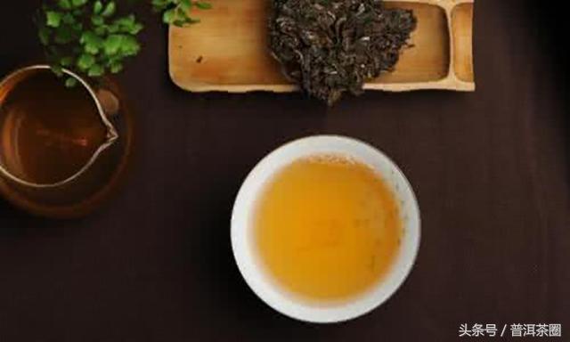 大益牌普洱茶经典系列：全面了解普洱茶的选料、工艺和文化价值