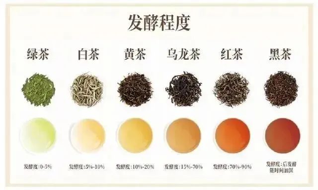 马黛茶的分类和特性：探索其是否属于茶叶类别