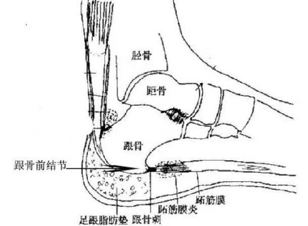 戴玉石容易长结节吗？