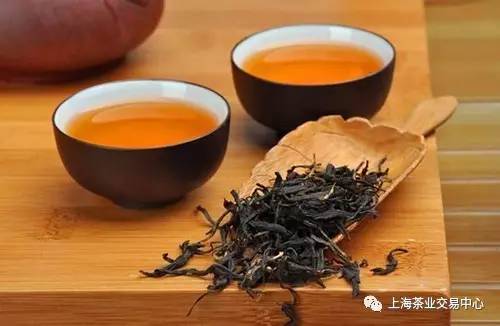 广东传统茶文化探索：发现古树红茶的历史魅力