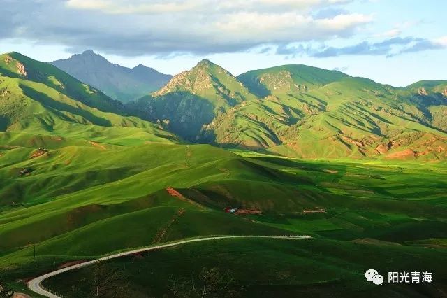 天山翠：全面探索天山山脉的珍稀植被与自然美景