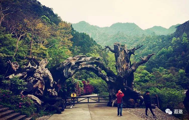 天山翠：全面探索天山山脉的珍稀植被与自然美景