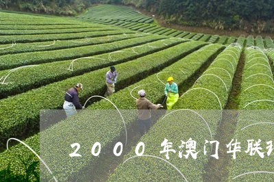 2000年华联班章普洱茶鉴赏指南