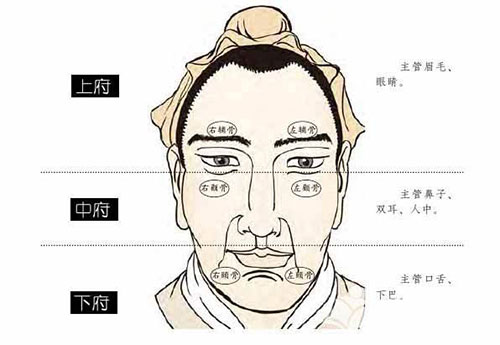 玉质光华：解析面相中的玉梯纹与人的命运