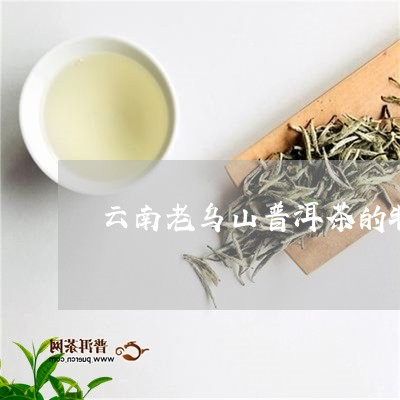 老乌山普洱茶的生长地与品质特点