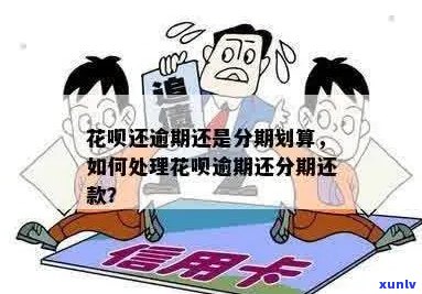 花呗逾期信用卡分期可以吗