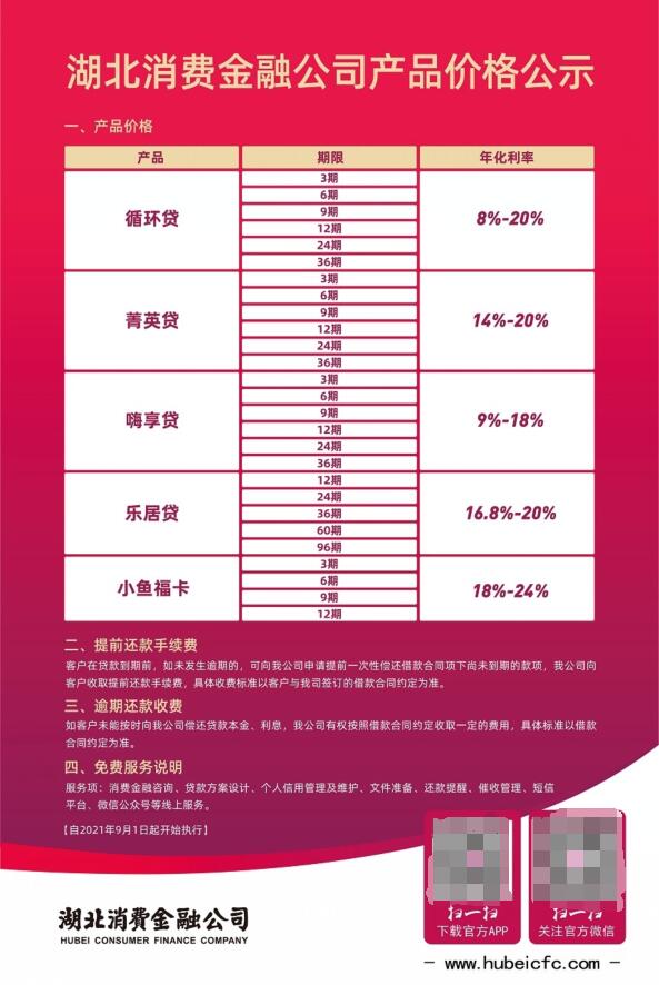 湖北消费金融10万借款不还怎么办