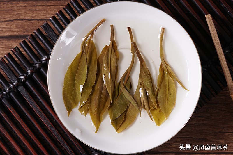 冰岛老寨茶的独特韵味：口感与风味解析