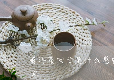 普洱茶回甘好还是绿茶回甘好