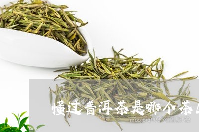 普洱茶共有三大茶区。