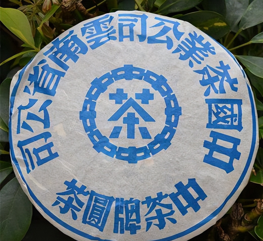 普洱茶泡水后出现油光现象的全面解析与处理建议