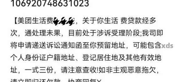 美团生活费逾期2万会不会被起诉