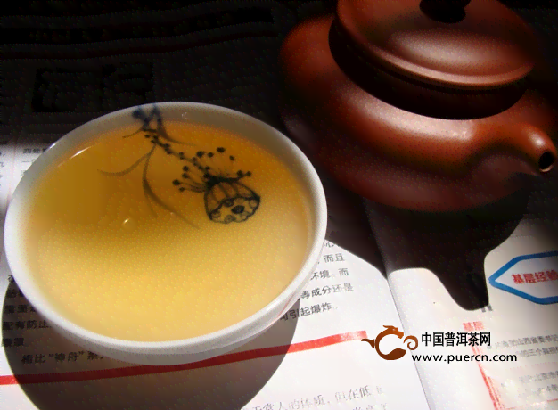 2024普洱茶斗茶赛，普洱茶斗记