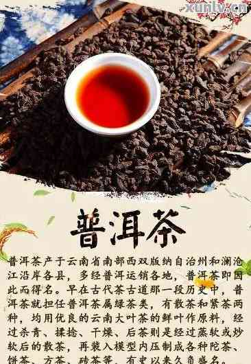 有名的普洱茶名字大全