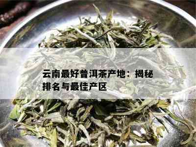 普洱茶名称精选大全