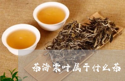 茶海棠是什么茶