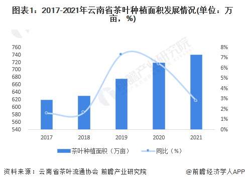 云南茶业经济产值与市场发展趋势分析