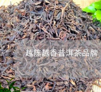 越陈越香普洱茶价格和种类介绍