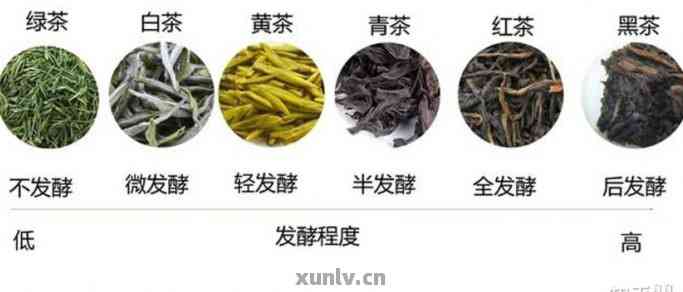 选择普洱茶、白茶还是红茶：终极指南解析每种茶的独特口感和健康益处