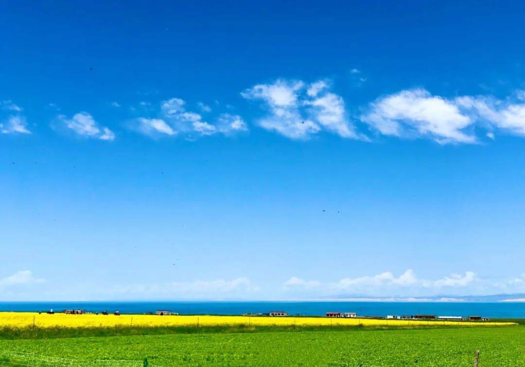 青海湖晴朗天气下的翡翠般碧水美景