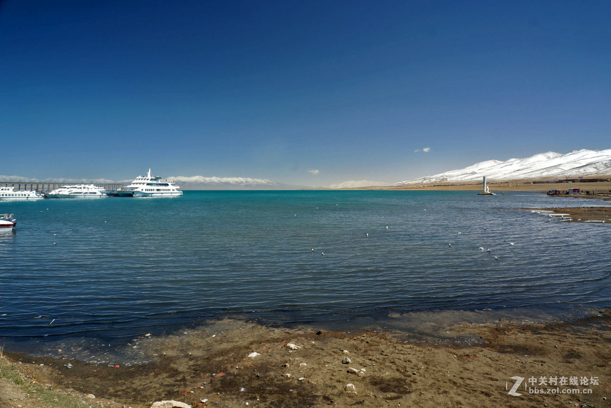 青海湖晴朗天气下的翡翠般碧水美景