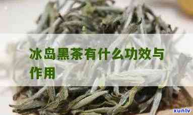 冰岛黑竹茶的独特风味及其健康益处