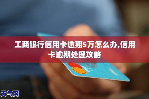 浦发信用卡欠款5万多实际该怎么处理