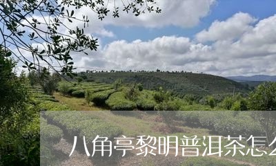 黎明八角亭茶业拍卖店综合指南：全面评估与建议