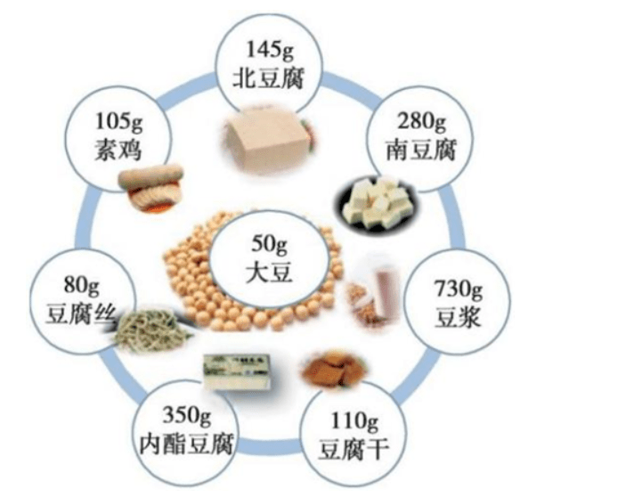 普洱茶与豆制品共食指南：健康饮食的平衡之道