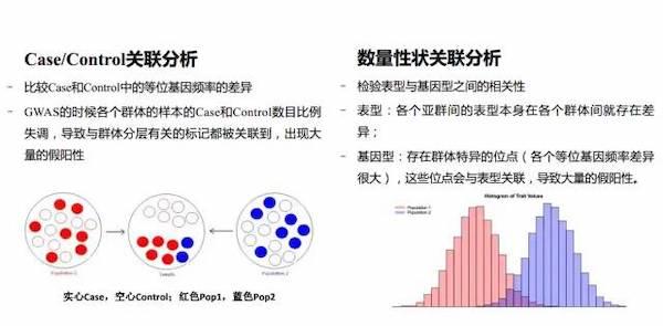 山东地质多样性与构造特征分析