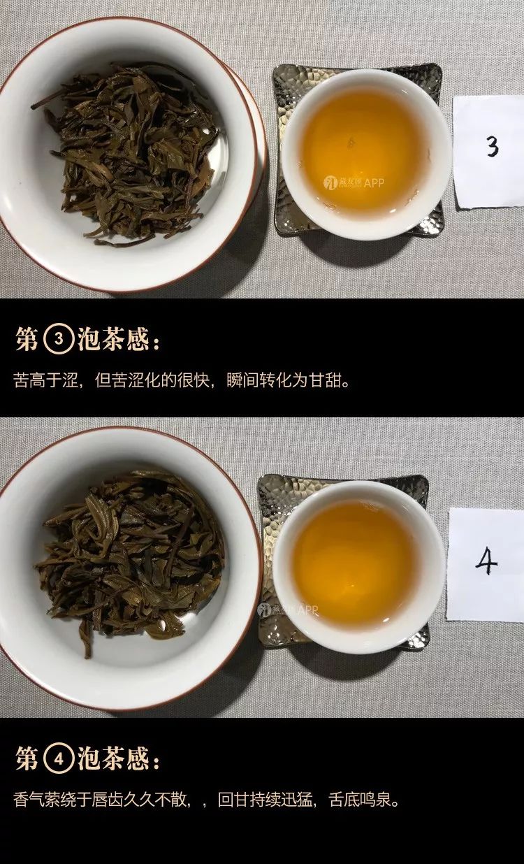 普洱茶和豆腐能否一同食用？探索两种食品的营养相容性与健康益处