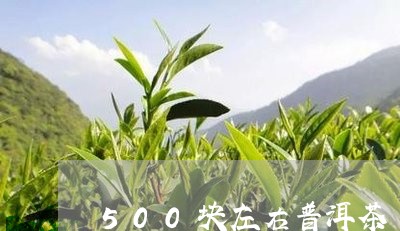 500元能买什么普洱茶