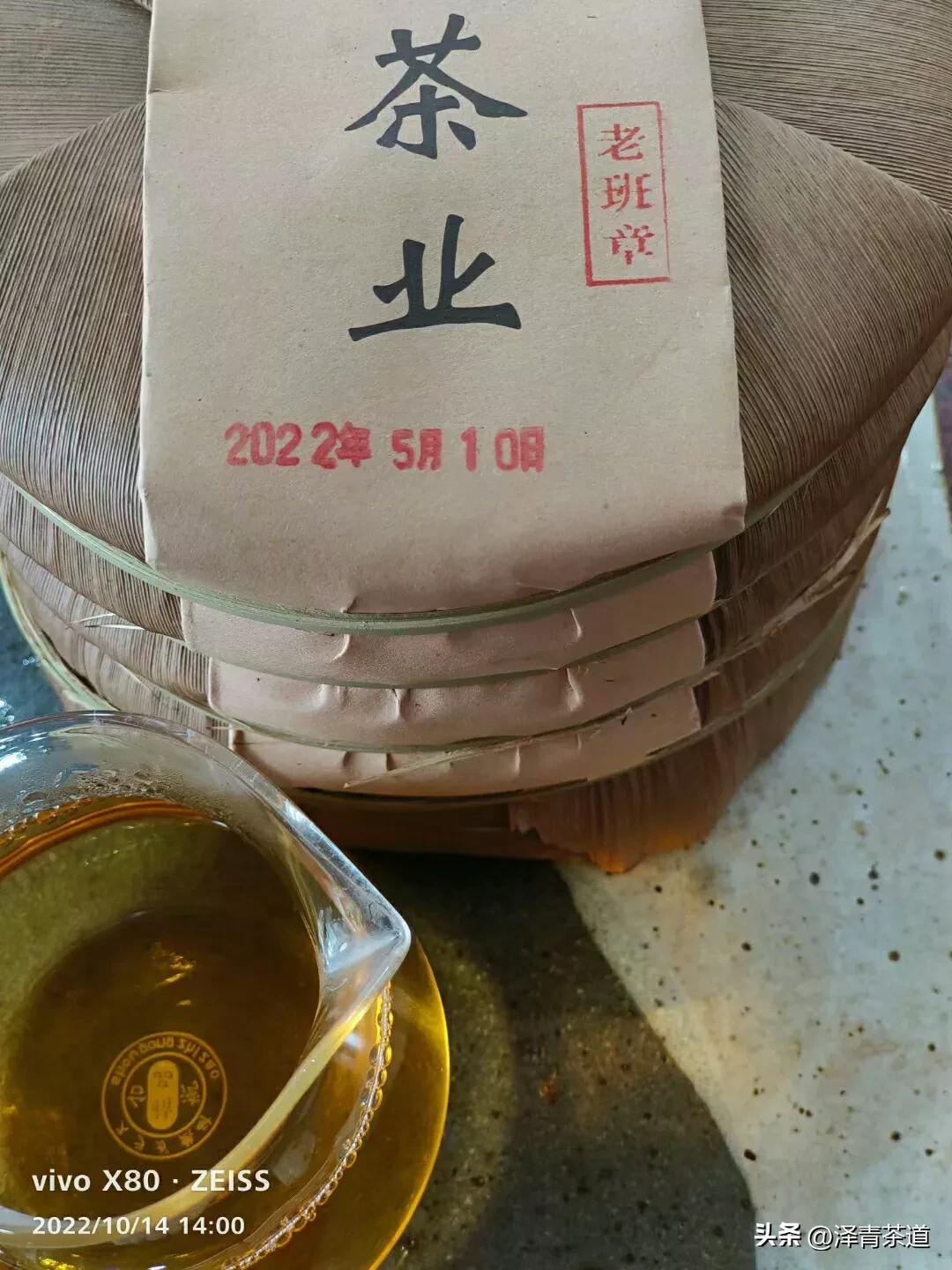 老班章古代茶王